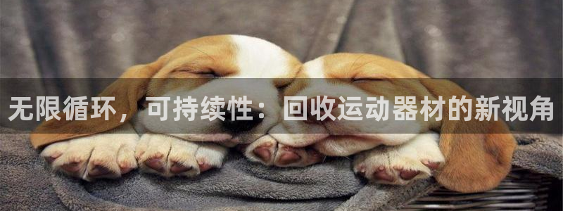 xk星空体育官方正版app集团logo:无限循环,可持续性: