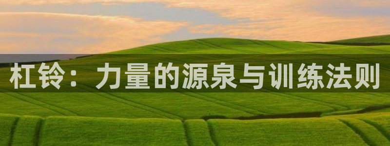 xk星空体育官网下载平台注册流程视频:杠铃:力量的源泉与训练